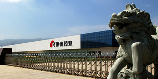 江蘇康緣藥業(yè)